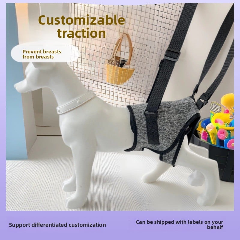 Injured dog hind leg auxiliary harness