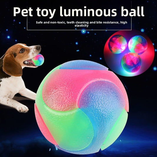Pet luminous toy balls